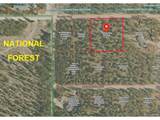 426 Sequoia Dr - Photo 7