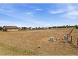 8773 Longs Peak Cir - Photo 6