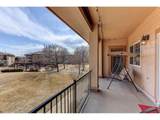 1703 Whitehall Dr - Photo 2