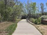 1015 Andrews Peak Dr - Photo 25