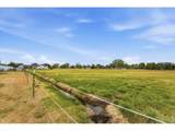4025 Empire St - Photo 37