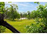 543 Linden Park Dr - Photo 9