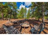 33 Carib Ct - Photo 23