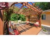 33040 Poudre Canyon Rd - Photo 21