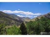 33040 Poudre Canyon Rd - Photo 3