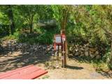 33040 Poudre Canyon Rd - Photo 38