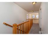 818 Terry St - Photo 12