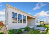 1716 Branching Canopy Dr - Photo 36