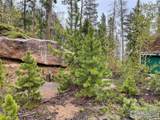 1374 Jicarilla Trl - Photo 15