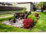 3300 Bridger Trl - Photo 26