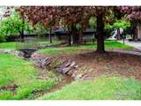 3300 Bridger Trl - Photo 27