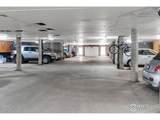 3300 Bridger Trl - Photo 28