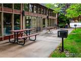 3300 Bridger Trl - Photo 29