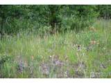 1256 Basking Dog Rd - Photo 11