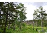 1256 Basking Dog Rd - Photo 15