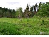 1256 Basking Dog Rd - Photo 2