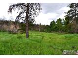 1256 Basking Dog Rd - Photo 22