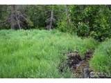 1256 Basking Dog Rd - Photo 3