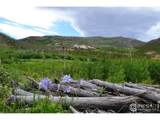 1256 Basking Dog Rd - Photo 4
