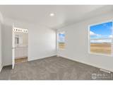 3178 Buffalo Grass Ln - Photo 12