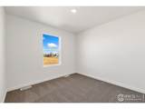 3178 Buffalo Grass Ln - Photo 15