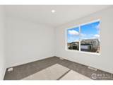 3178 Buffalo Grass Ln - Photo 16