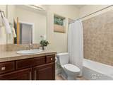 4641 17th St - Photo 19