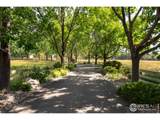7007 Rozena Dr - Photo 4