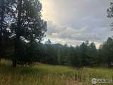 505 Lakeshore Dr - Photo 2