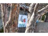 8050 Niwot Rd - Photo 31
