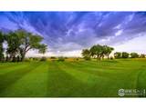3794 Tall Grass Ct - Photo 29