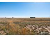 54215 County Road 21 - Photo 1
