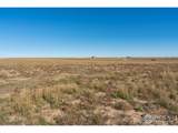 54215 County Road 21 - Photo 2