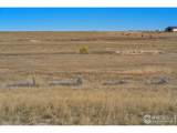 54215 County Road 21 - Photo 3
