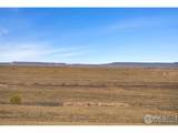 54215 County Road 21 - Photo 6