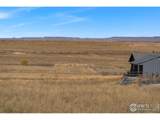 54215 County Road 21 - Photo 9