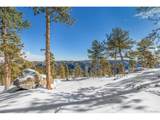 13144 Pine Country Ln - Photo 12