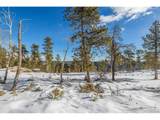13144 Pine Country Ln - Photo 13