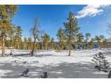13144 Pine Country Ln - Photo 14
