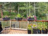 31547 Niakwa Rd - Photo 7