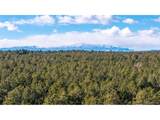 10775 Hardy Rd - Photo 1