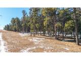 10775 Hardy Rd - Photo 11