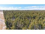 10775 Hardy Rd - Photo 2