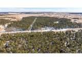 10775 Hardy Rd - Photo 5