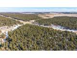 10775 Hardy Rd - Photo 6