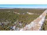 10775 Hardy Rd - Photo 8