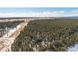 10775 Hardy Rd - Photo 9