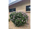 694 Shepperd Ave - Photo 25