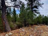  Costilla Pl - Photo 6