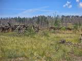695 Cogbill Dr - Photo 11